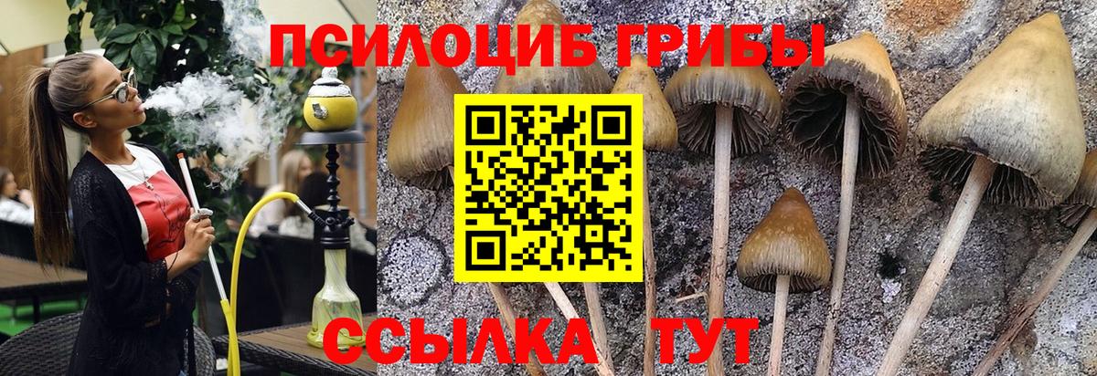 Псилоцибиновые грибы мицелий  Псилоцибиновые грибы Magic Shrooms  Вход с VPN  Юрга 