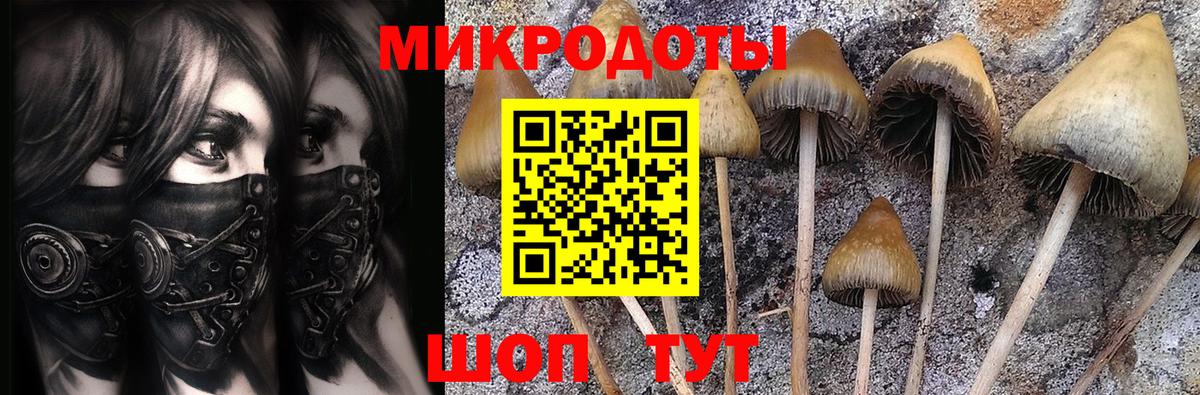 Галлюциногенные грибы MAGIC MUSHROOMS Юрга